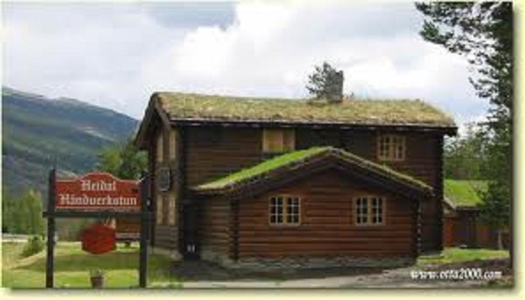 Lusaeter Timber Cabins Heidal Екстериор снимка