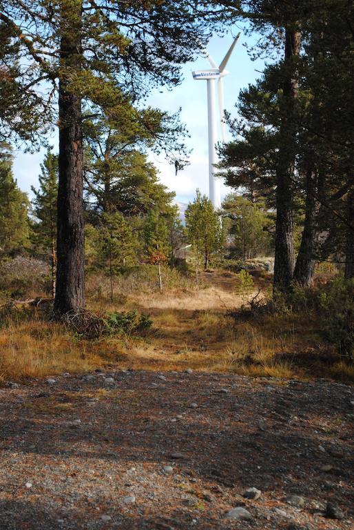 Lusaeter Timber Cabins Heidal Екстериор снимка